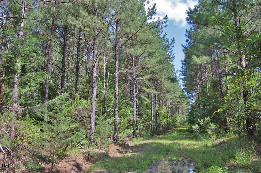 DSC_0715 - 0 Buckhorn Road, Bullock, NC 27507