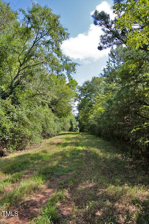 DSC_0698 - 0 Buckhorn Road, Bullock, NC 27507