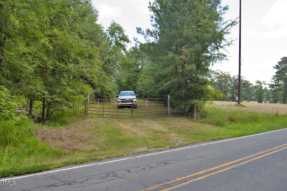 DSC_0762 - 0 Buckhorn Road, Bullock, NC 27507