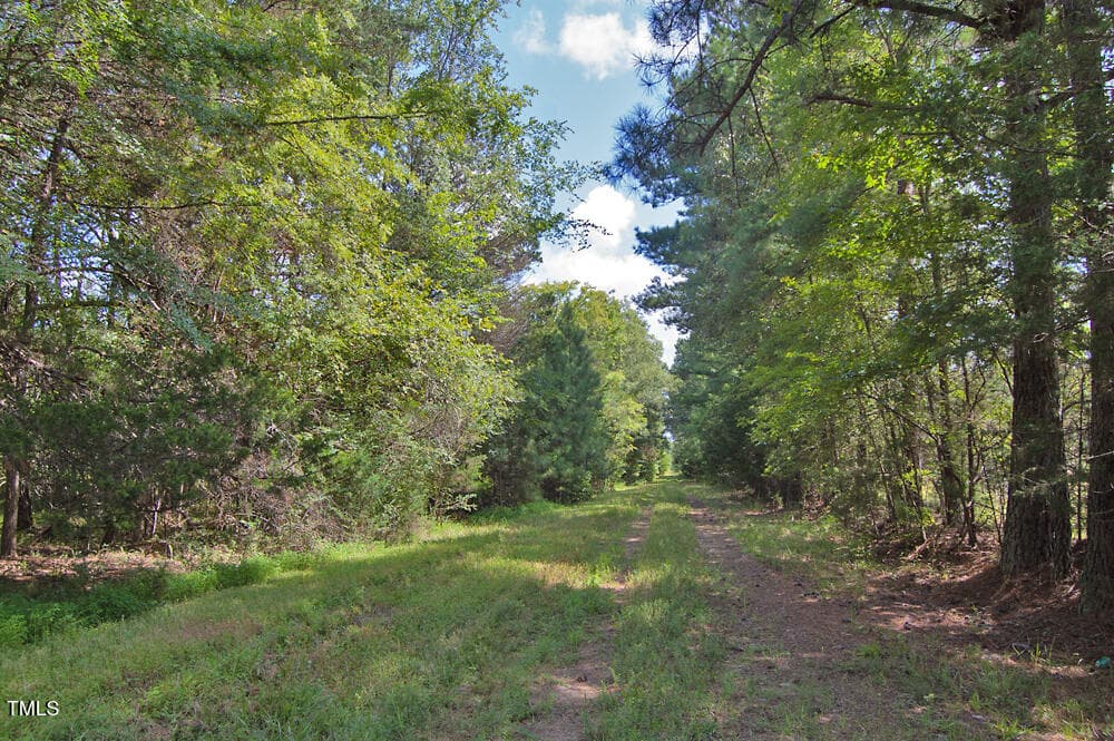 DSC_0700 - 0 Buckhorn Road, Bullock, NC 27507