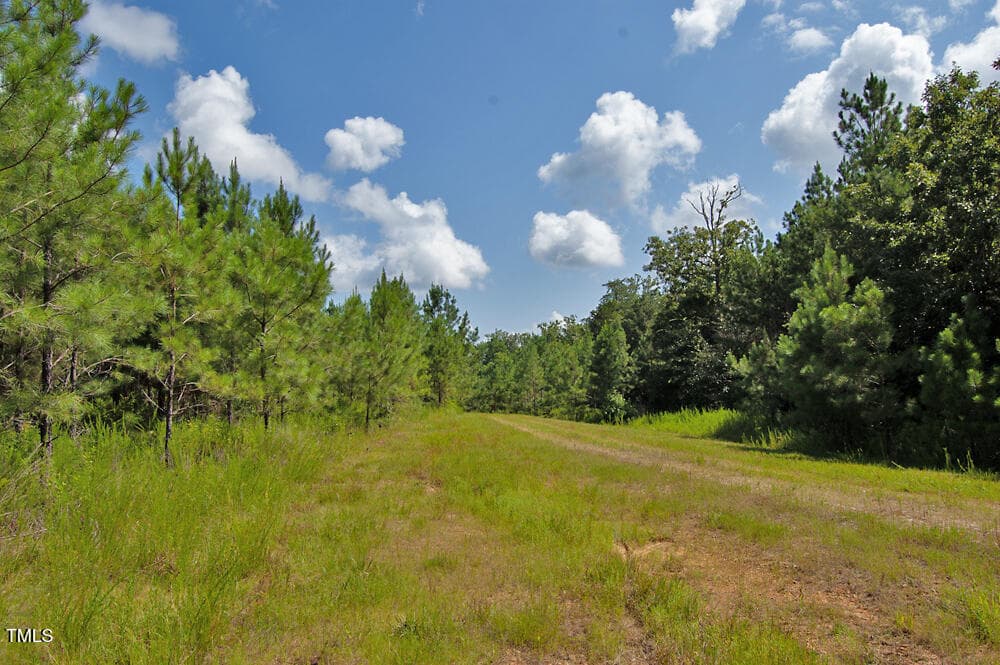DSC_0704 - 0 Buckhorn Road, Bullock, NC 27507