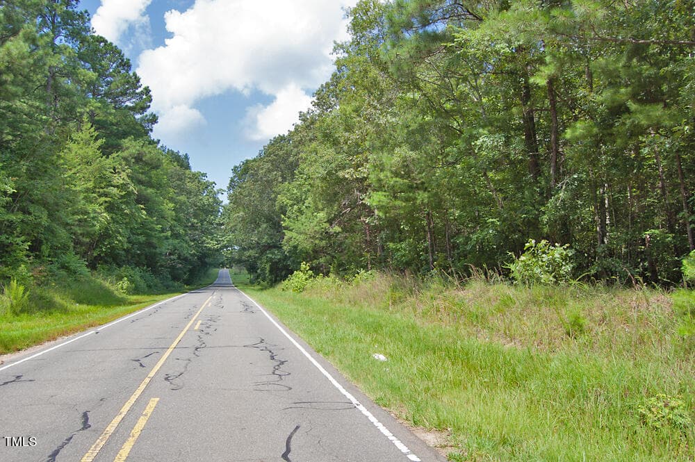 DSC_0765 - 0 Buckhorn Road, Bullock, NC 27507