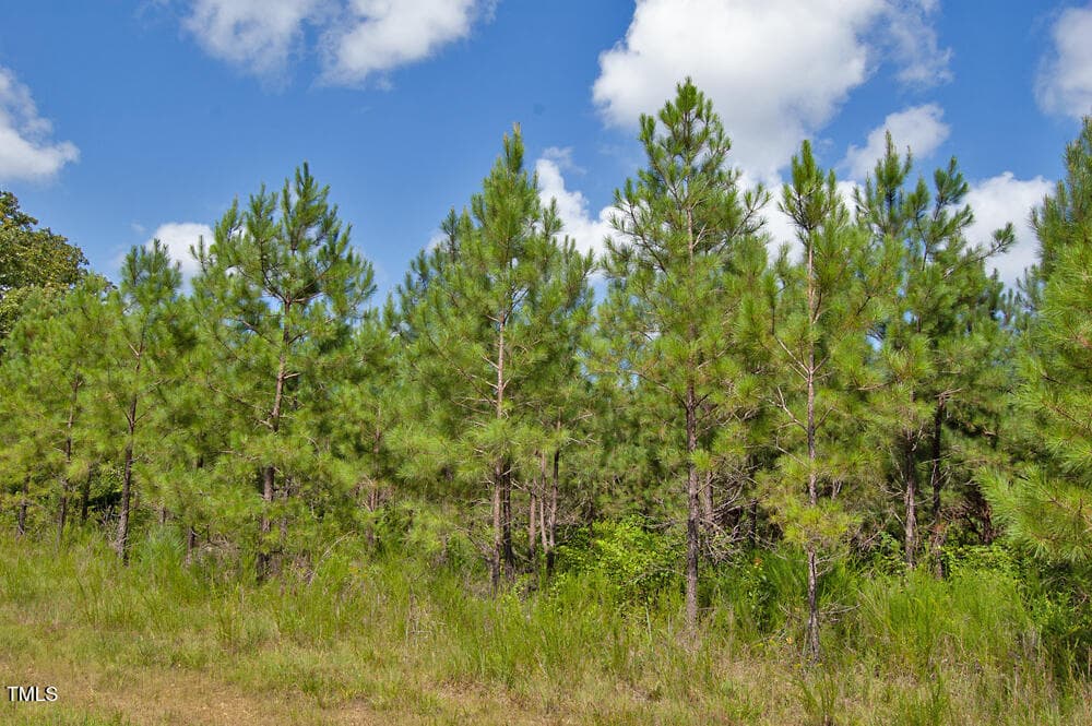DSC_0705 - 0 Buckhorn Road, Bullock, NC 27507