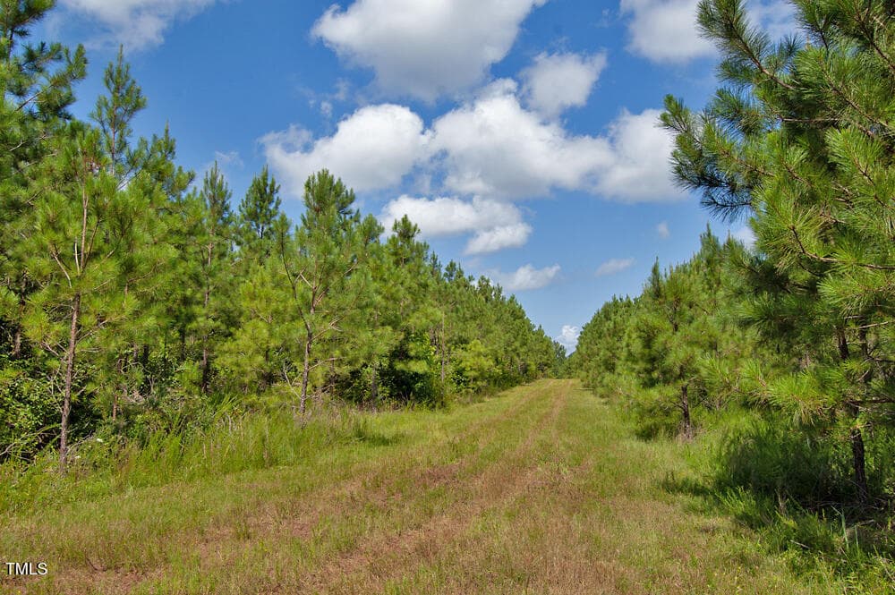 DSC_0706 - 0 Buckhorn Road, Bullock, NC 27507