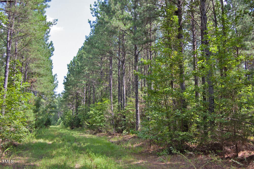 DSC_0718 - 0 Buckhorn Road, Bullock, NC 27507