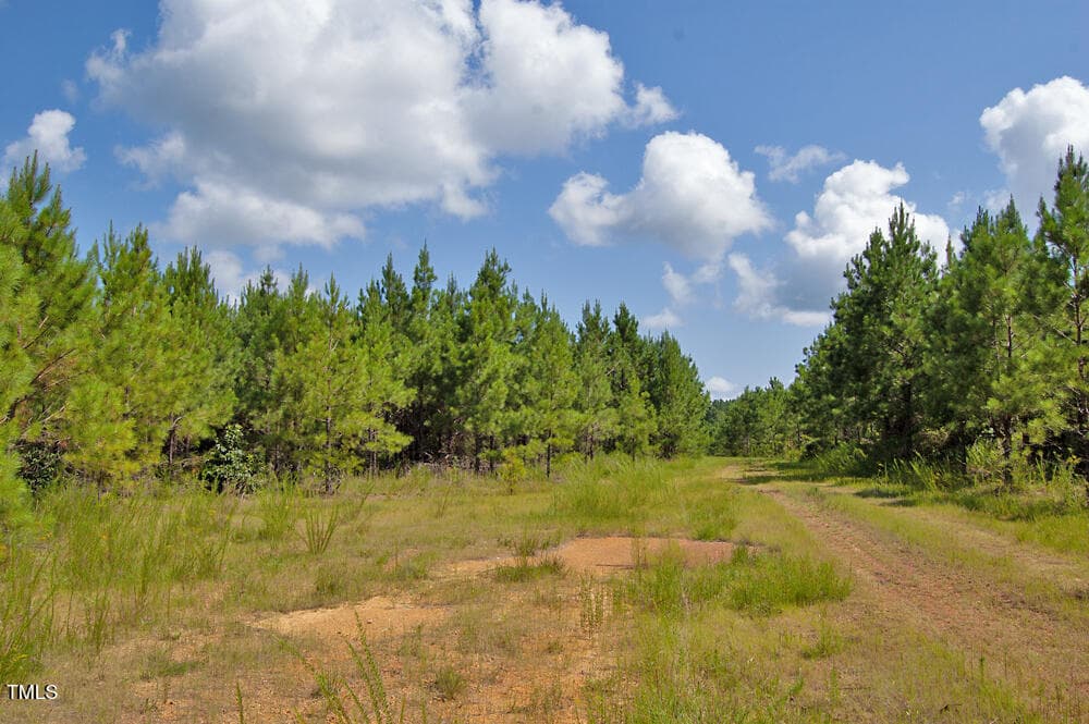 DSC_0711 - 0 Buckhorn Road, Bullock, NC 27507