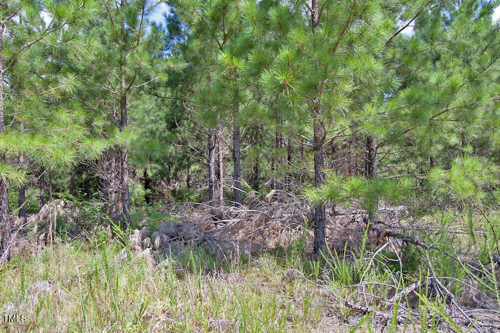 DSC_0712 - 0 Buckhorn Road, Bullock, NC 27507