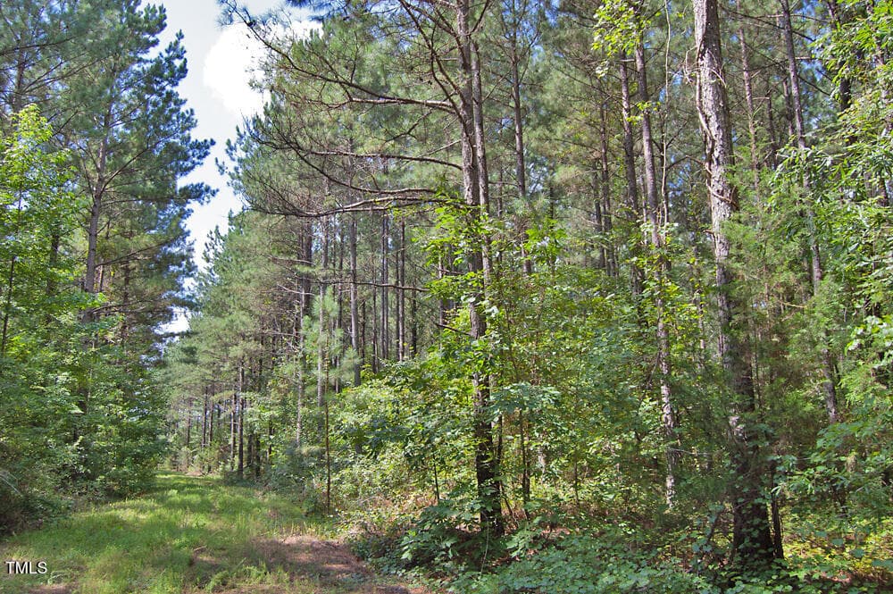 DSC_0717 - 0 Buckhorn Road, Bullock, NC 27507