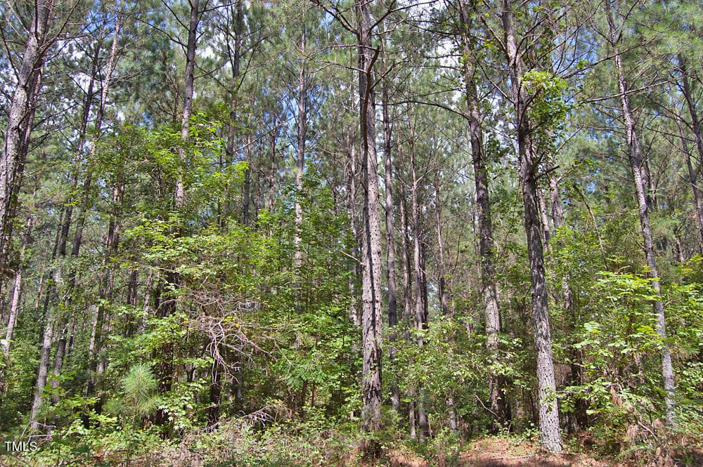 DSC_0720 - 0 Buckhorn Road, Bullock, NC 27507