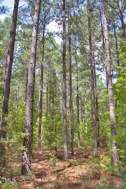 DSC_0728 - 0 Buckhorn Road, Bullock, NC 27507