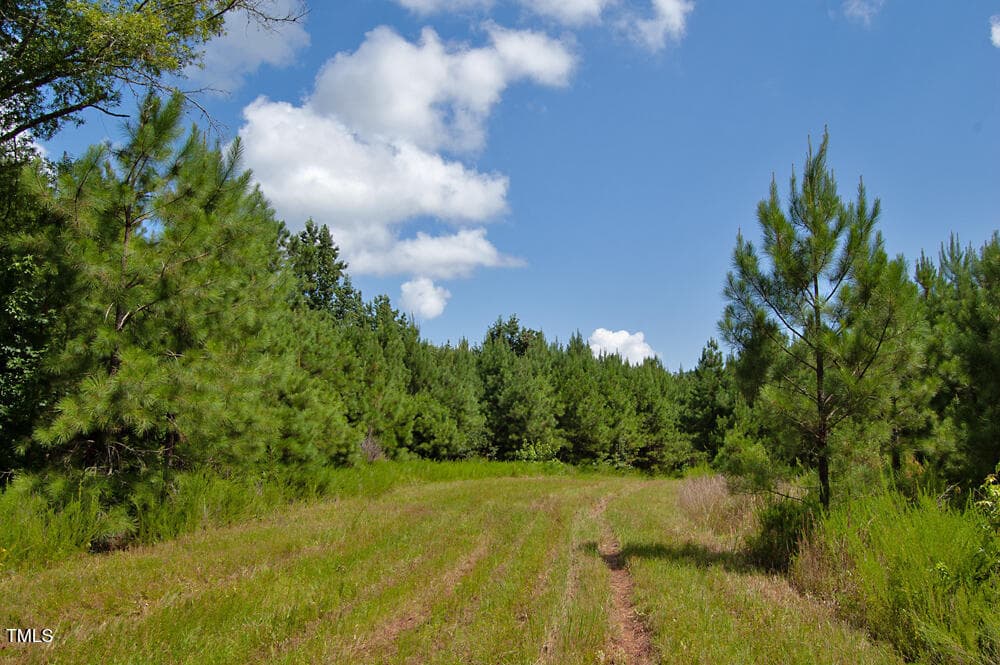 DSC_0723 - 0 Buckhorn Road, Bullock, NC 27507