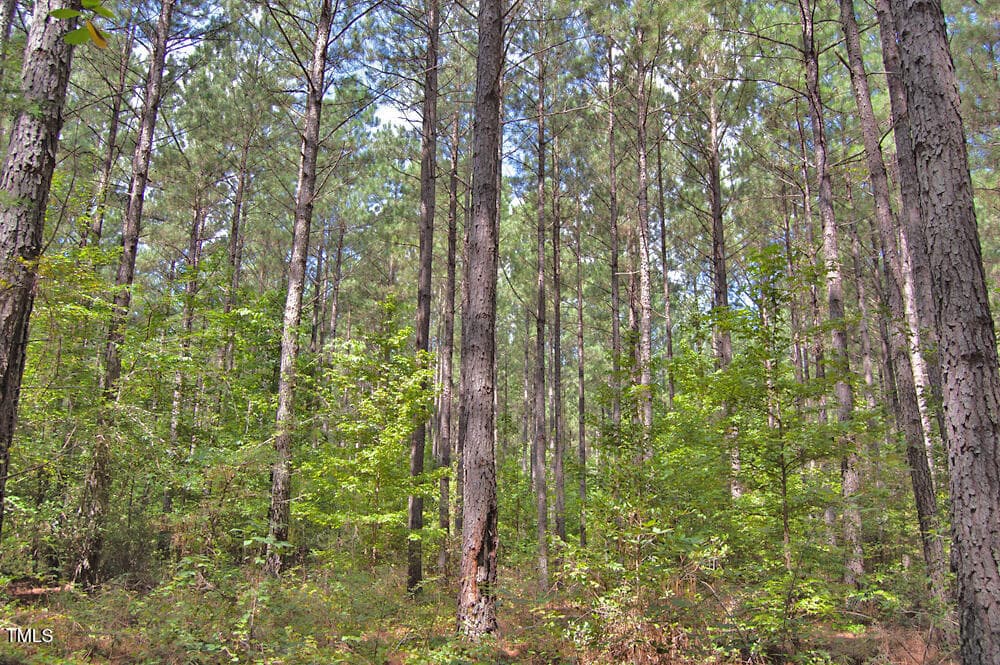 DSC_0724 - 0 Buckhorn Road, Bullock, NC 27507