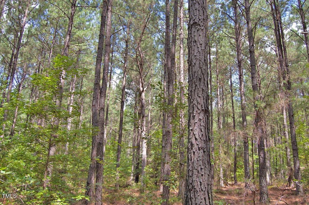 DSC_0725 - 0 Buckhorn Road, Bullock, NC 27507