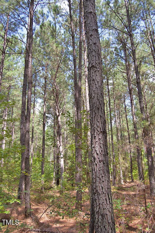 DSC_0726 - 0 Buckhorn Road, Bullock, NC 27507
