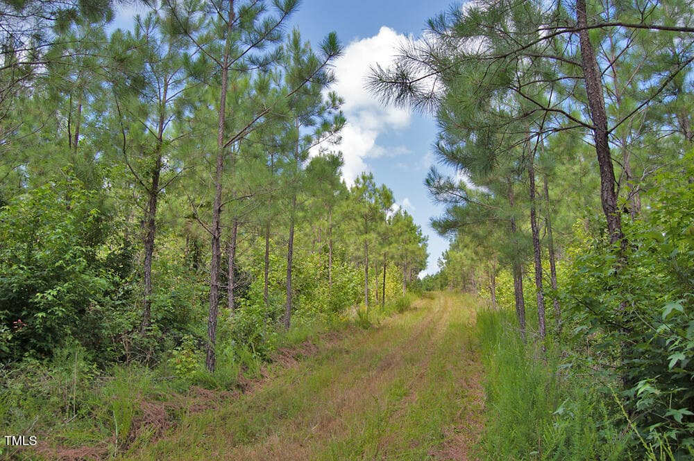 DSC_0736 - 0 Buckhorn Road, Bullock, NC 27507