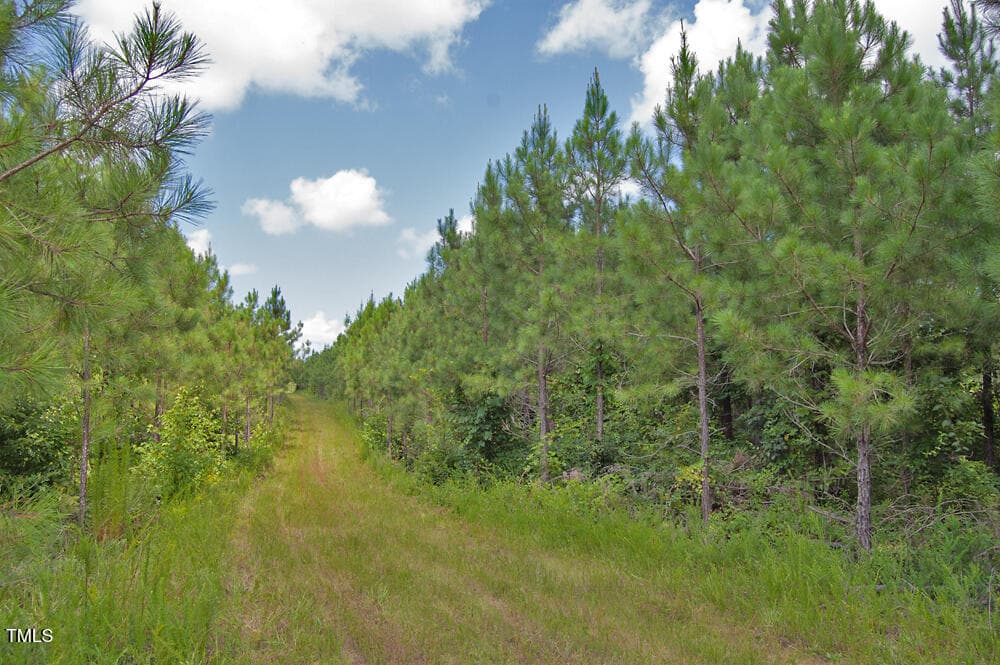 DSC_0737 - 0 Buckhorn Road, Bullock, NC 27507