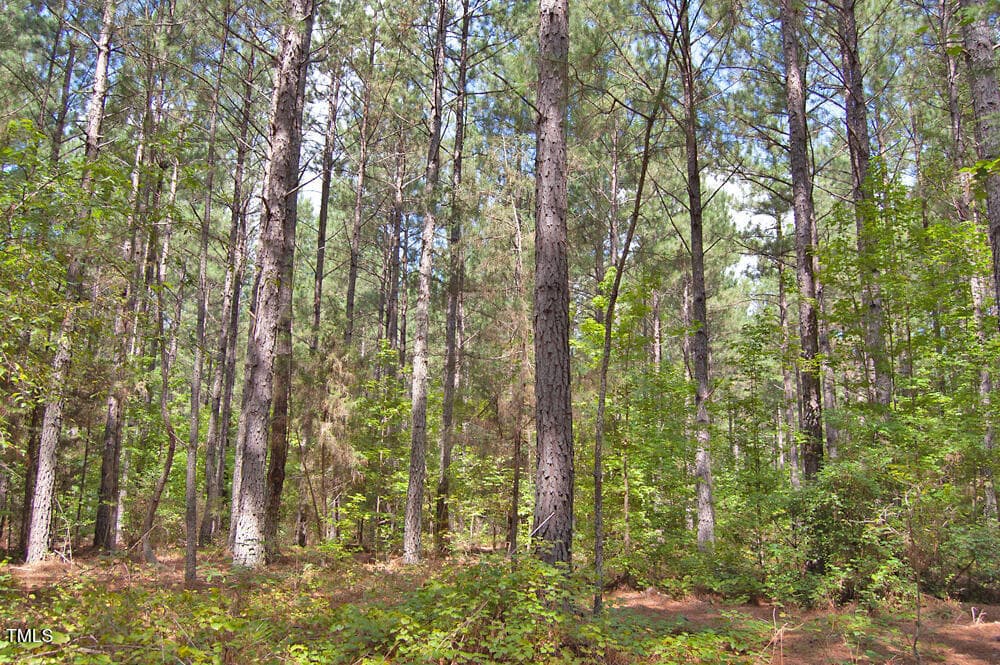 DSC_0734 - 0 Buckhorn Road, Bullock, NC 27507