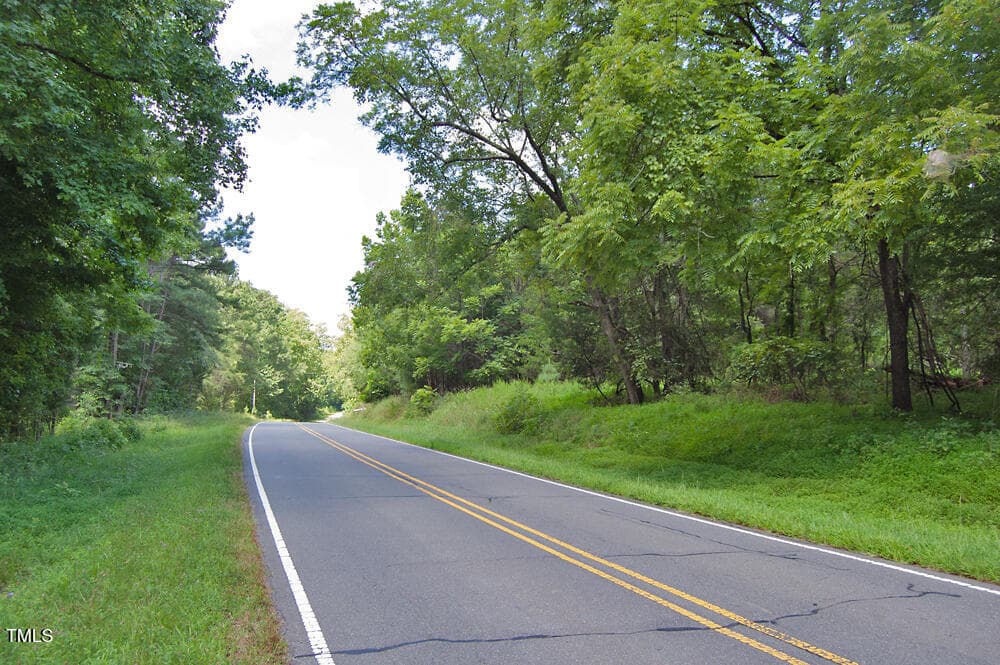 DSC_0760 - 0 Buckhorn Road, Bullock, NC 27507