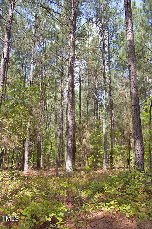 DSC_0735 - 0 Buckhorn Road, Bullock, NC 27507
