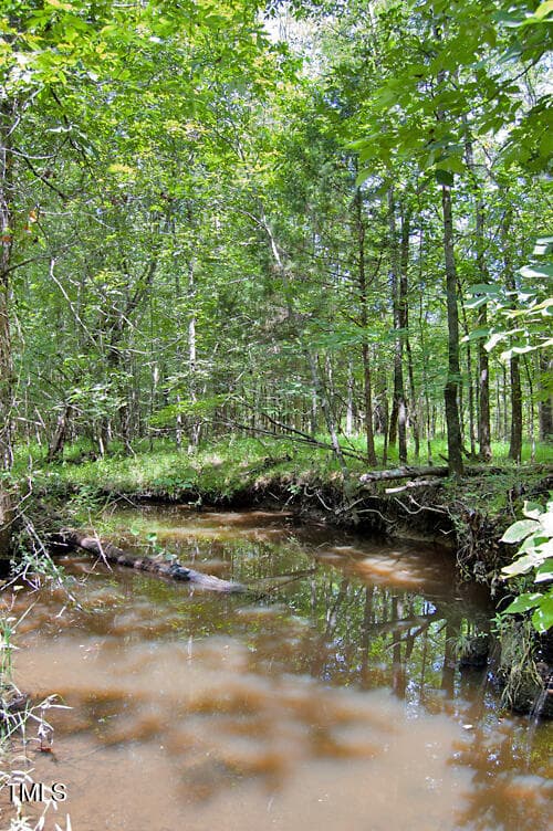 DSC_0745 - 0 Buckhorn Road, Bullock, NC 27507