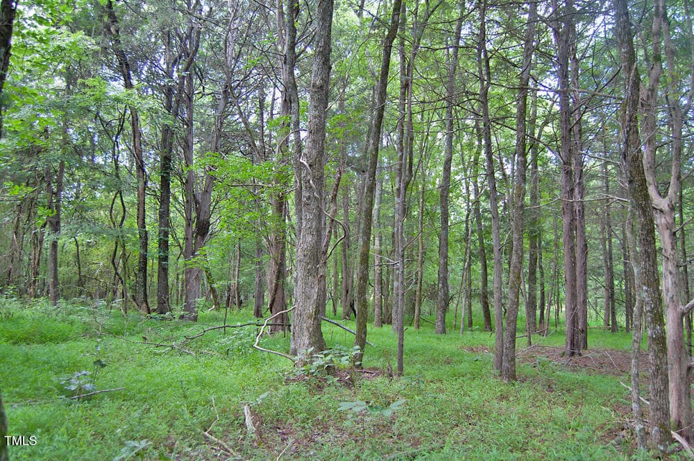 DSC_0753 - 0 Buckhorn Road, Bullock, NC 27507