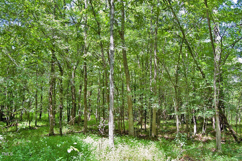 DSC_0748 - 0 Buckhorn Road, Bullock, NC 27507