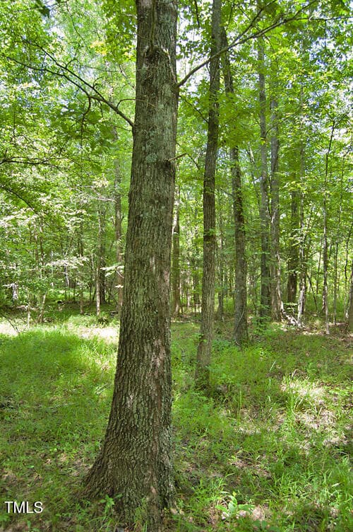 DSC_0749 - 0 Buckhorn Road, Bullock, NC 27507
