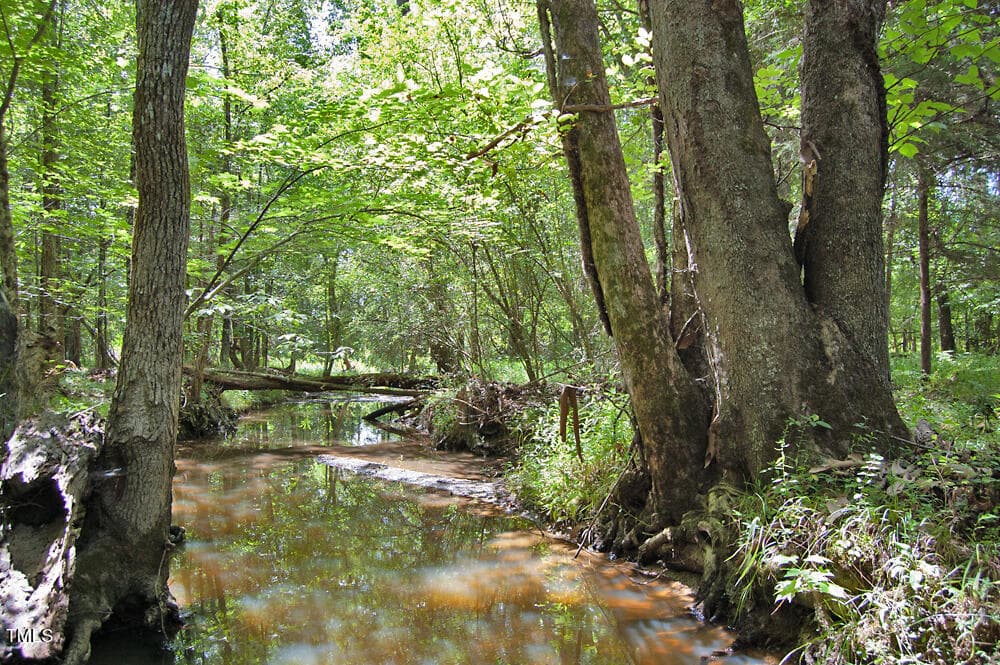 DSC_0751 - 0 Buckhorn Road, Bullock, NC 27507