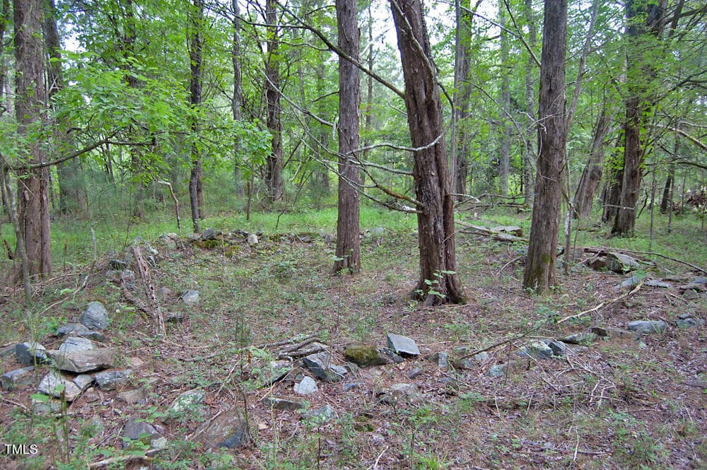 DSC_0752 - 0 Buckhorn Road, Bullock, NC 27507