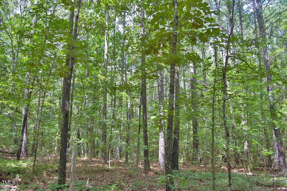 DSC_0767 - 0 Buckhorn Road, Bullock, NC 27507
