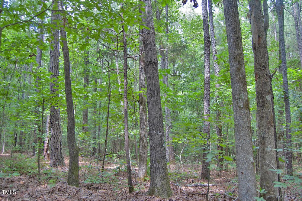 DSC_0770 - 0 Buckhorn Road, Bullock, NC 27507
