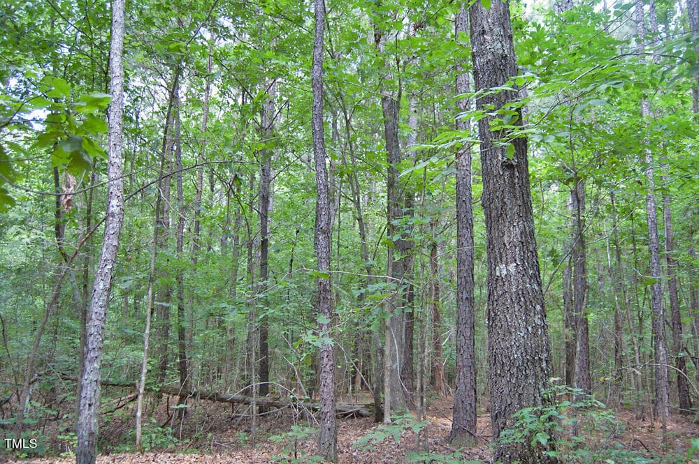 DSC_0774 - 0 Buckhorn Road, Bullock, NC 27507
