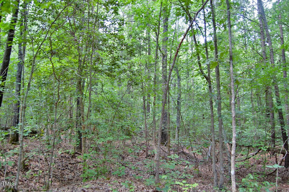 DSC_0776 - 0 Buckhorn Road, Bullock, NC 27507