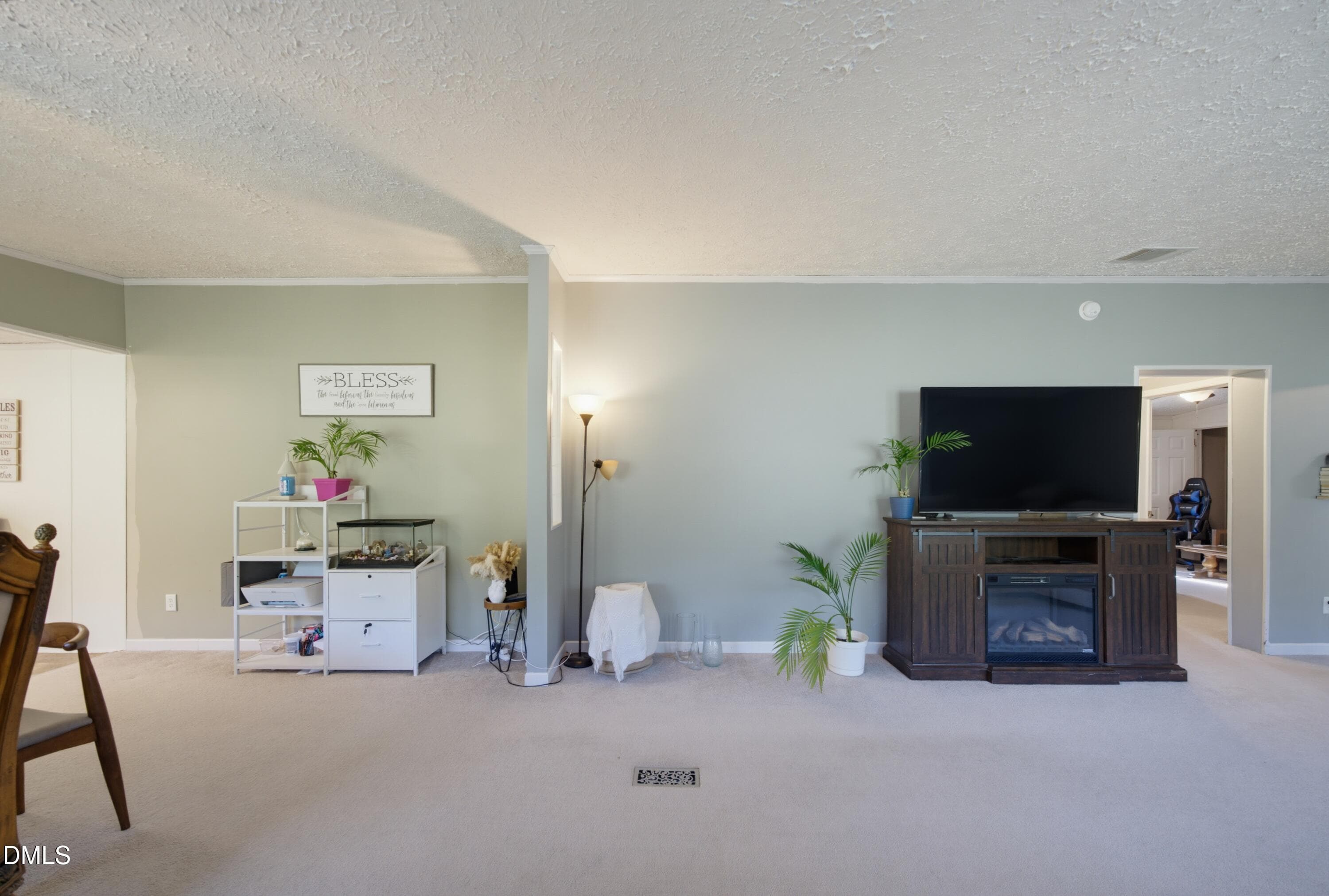 entrance - 523 County Line Road, Manson, NC 27553