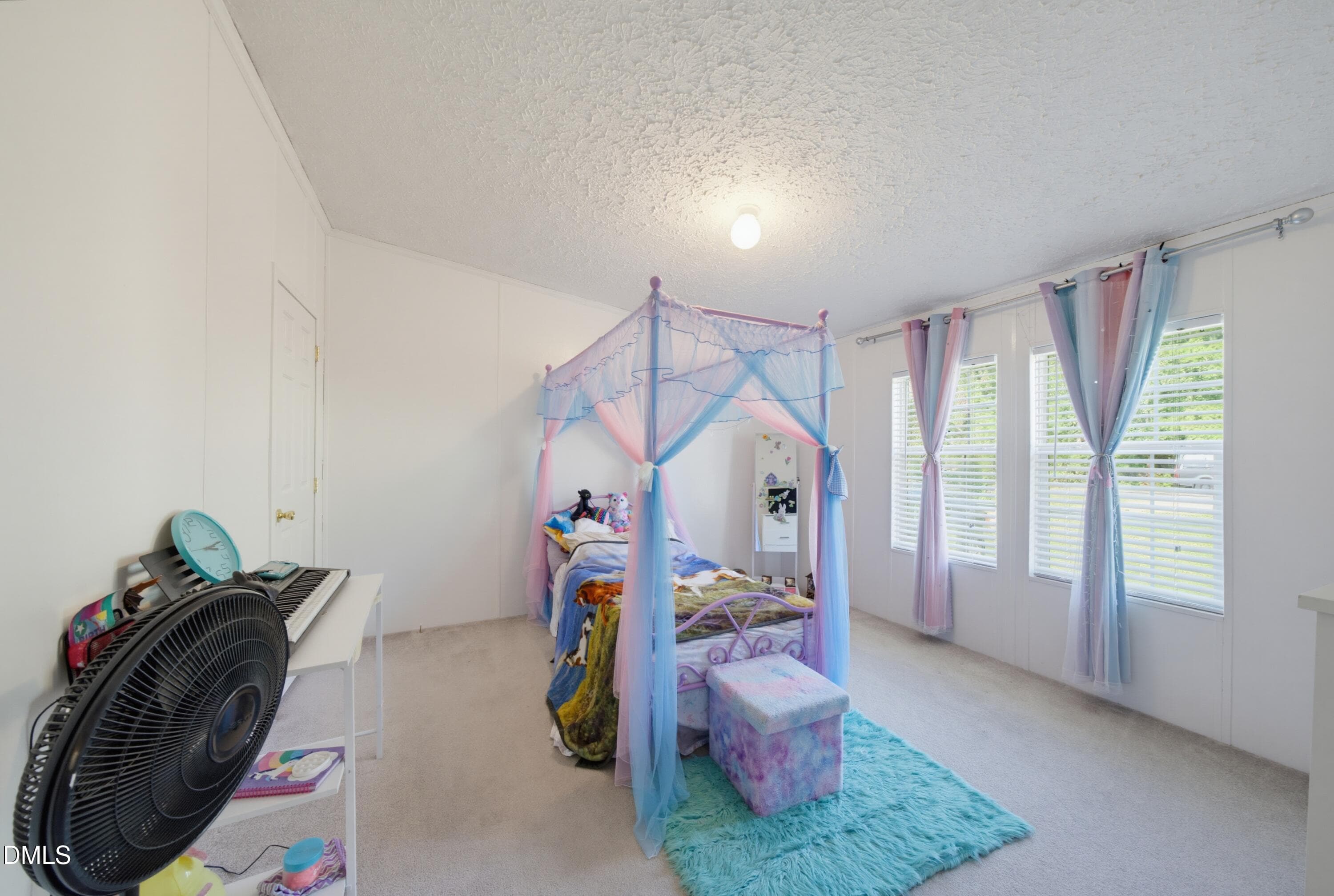 bedroom2 - 523 County Line Road, Manson, NC 27553