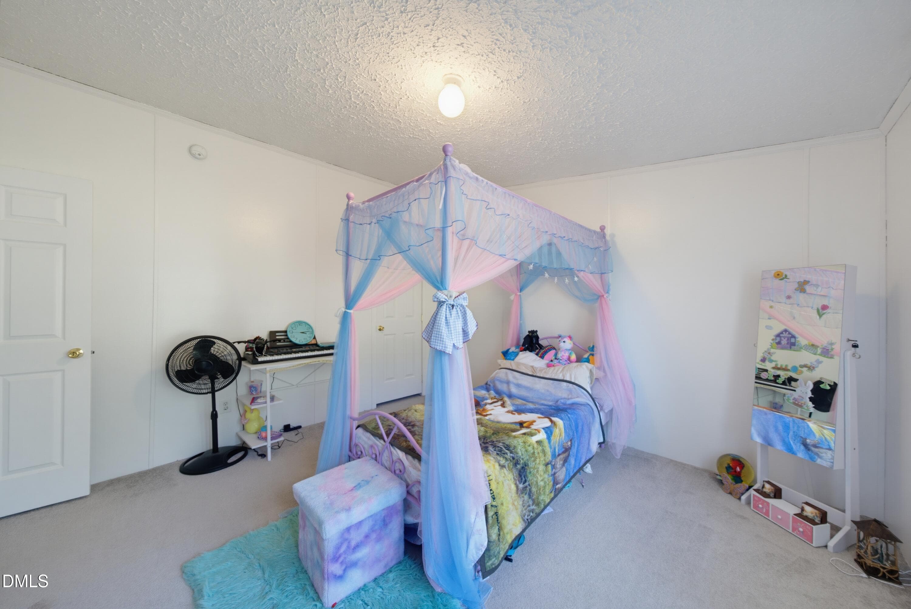 bedroom2b - 523 County Line Road, Manson, NC 27553