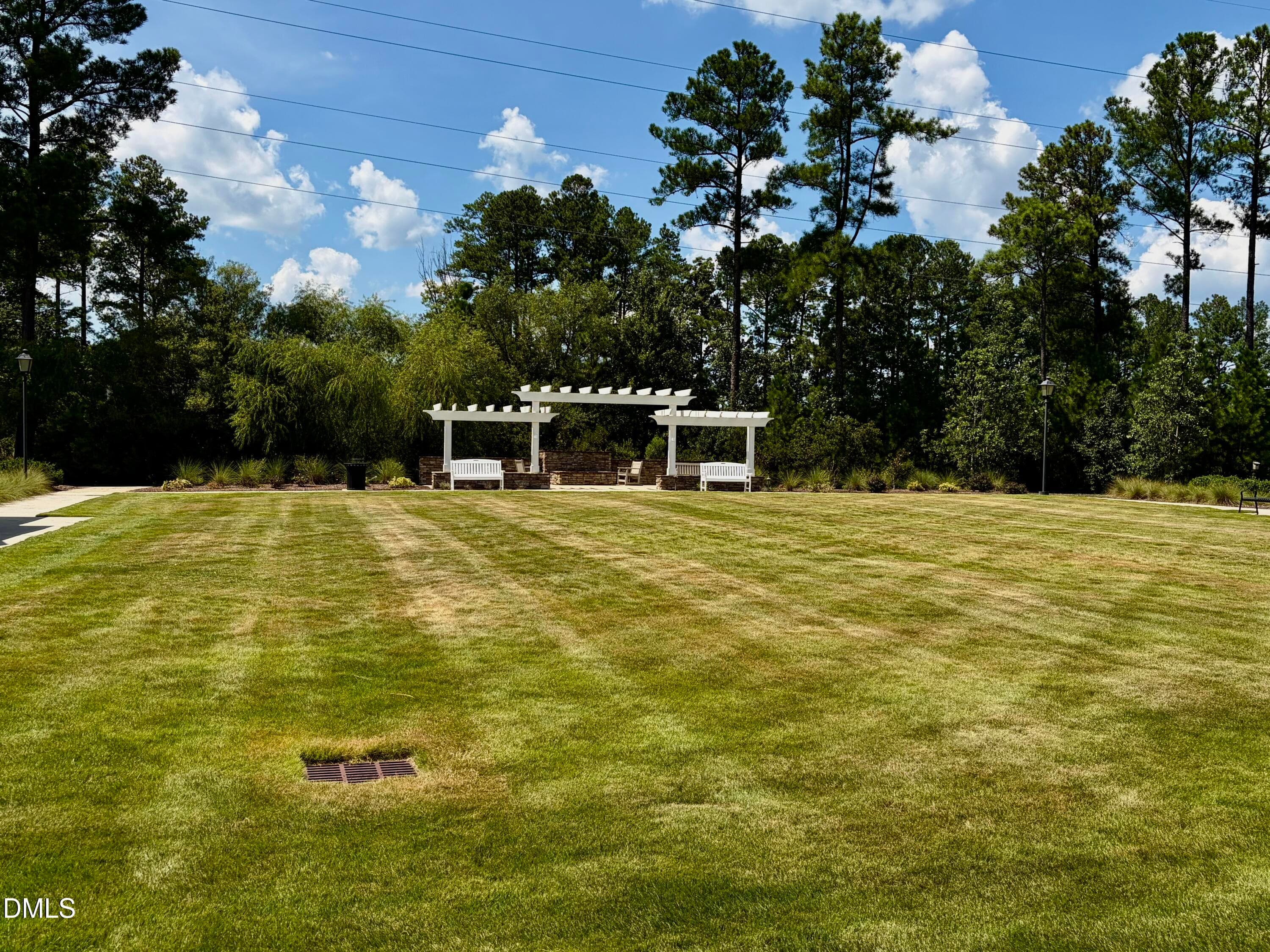 IMG_0889 - 1026 Carraway Lane, Durham, NC 27703