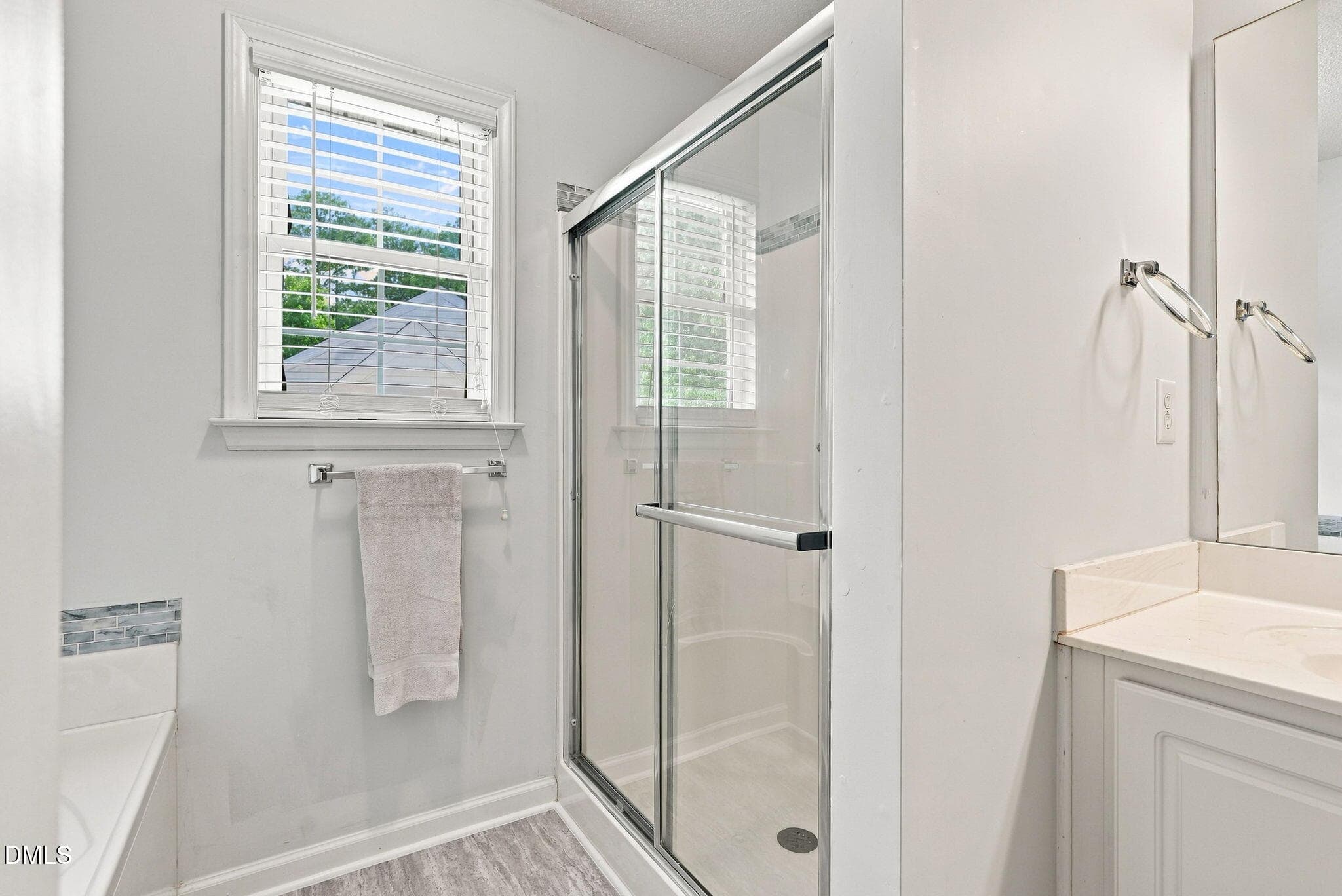 Separate Tub and Shower - 8308 Neuse Rapids Road, Raleigh, NC 27616, Raleigh