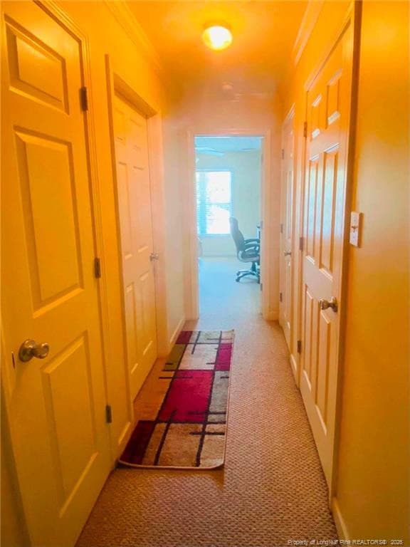 Photo 19 - 1851 Balmoral Drive, Fayetteville, NC 28304, Fayetteville