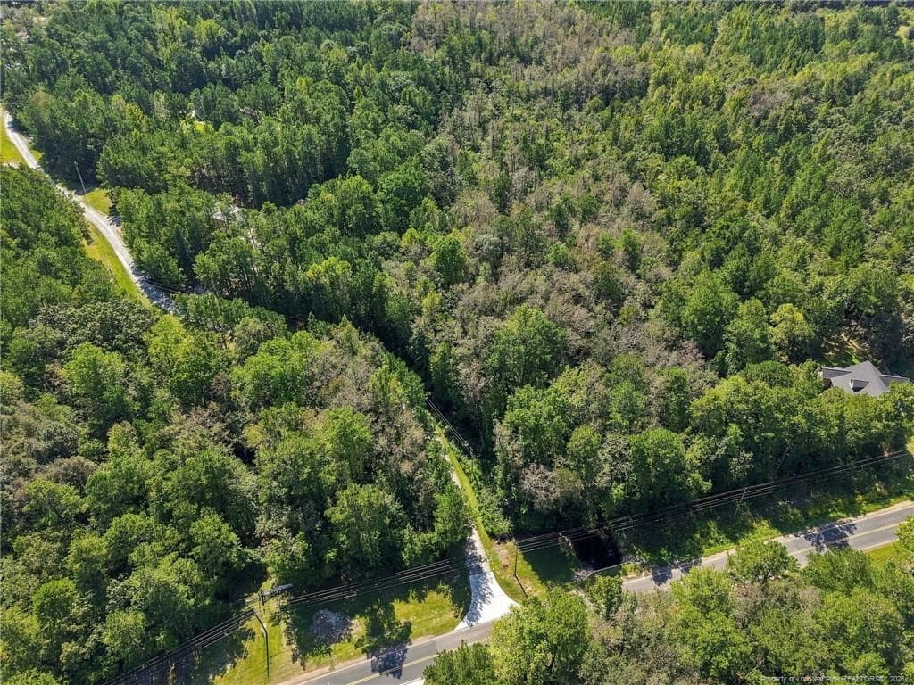 Photo 47 - 86 Cypress Woods Lane, Cameron, NC 28326