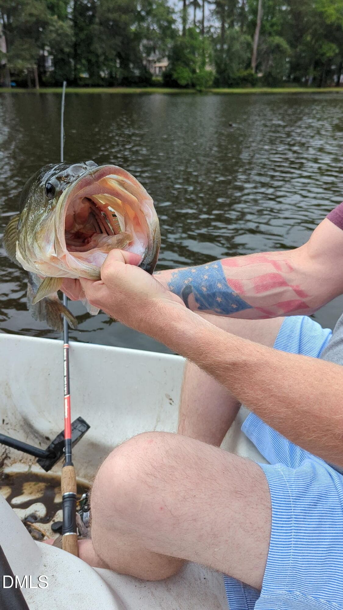 big mouth fishy - 136 Kenneth Lane, Willow Springs, NC 27592
