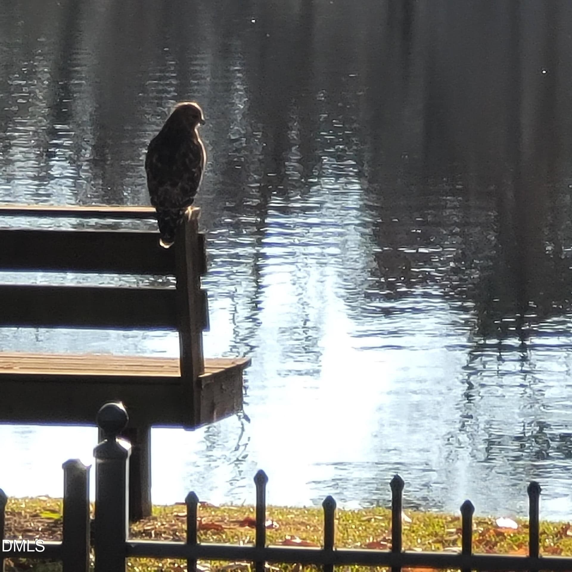 bird on bench pond - 136 Kenneth Lane, Willow Springs, NC 27592
