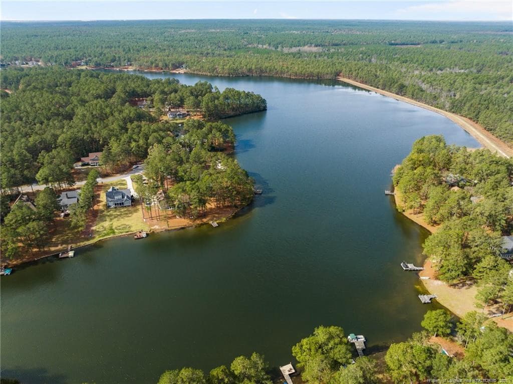 Photo 36 - 30080 Deercroft Drive, Wagram, NC 28396