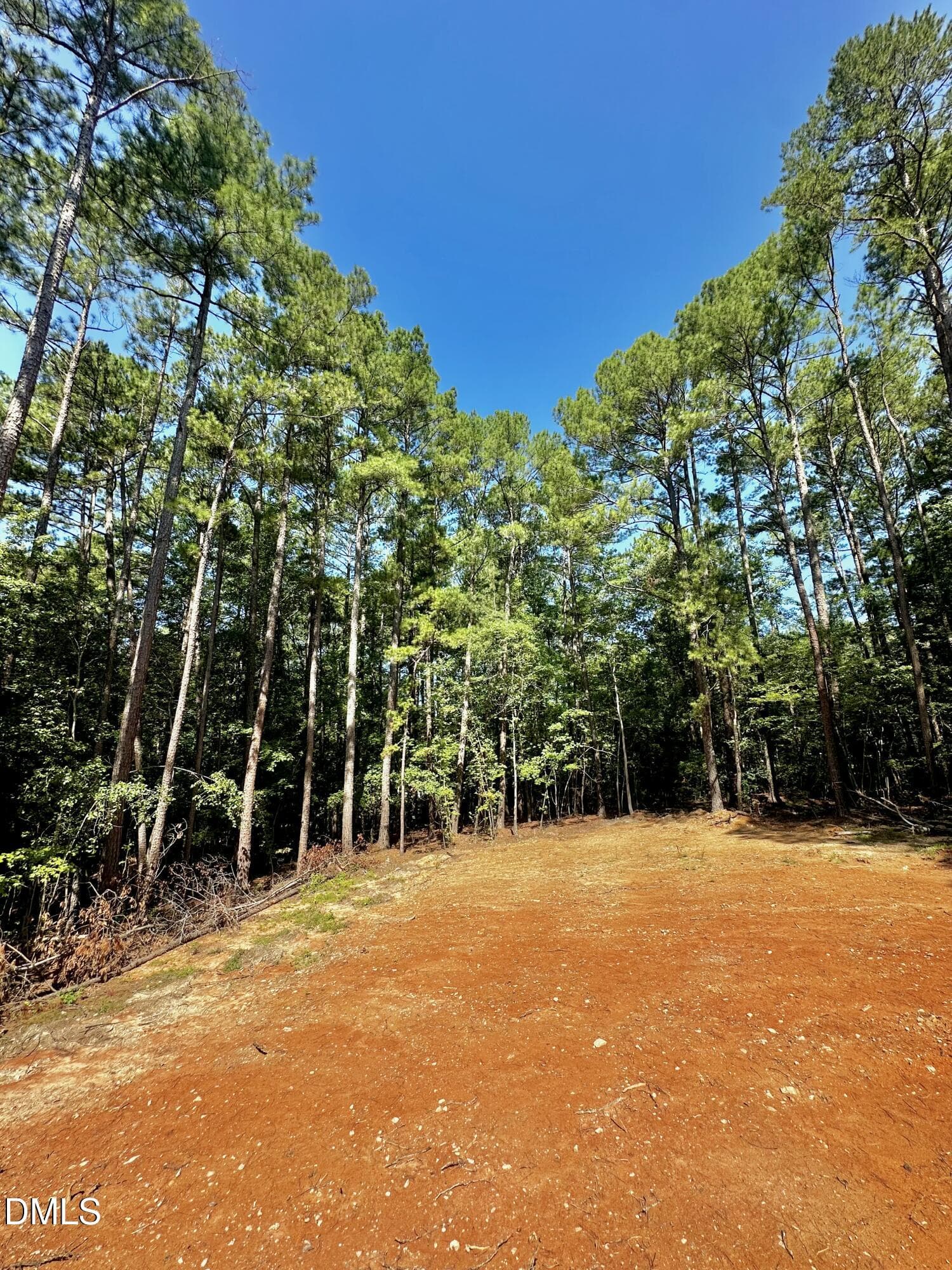 IMG_4381 - 736 Jasmine Road, Fuquay Varina, NC 27526, Fuquay Varina