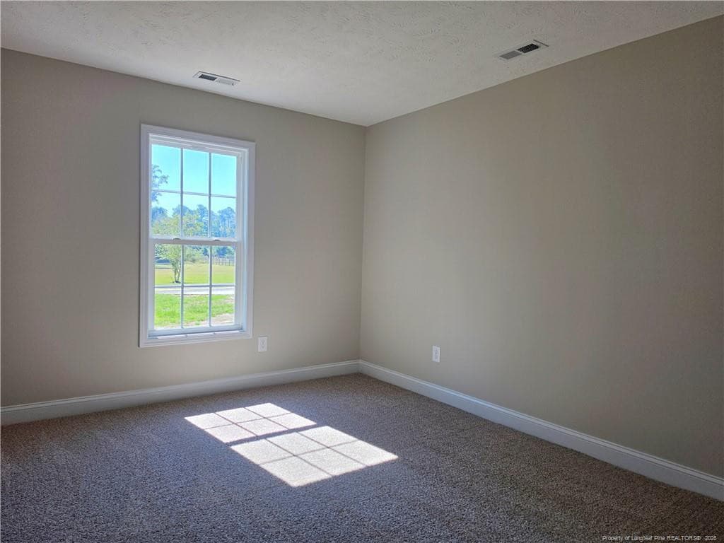 Photo 18 - 756 Jordan Road, Autryville, NC 28318