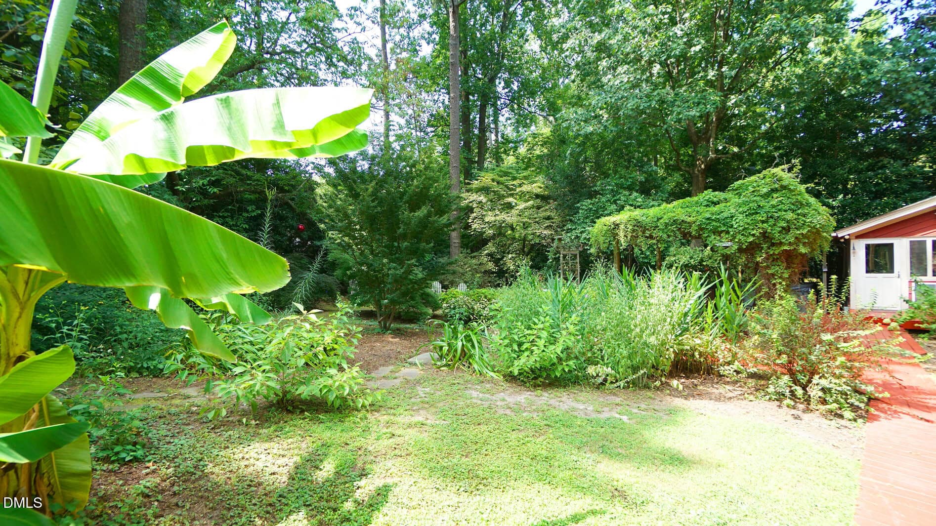 Backyard - 818 Lake Forest Drive, Raleigh, NC 27615, Raleigh
