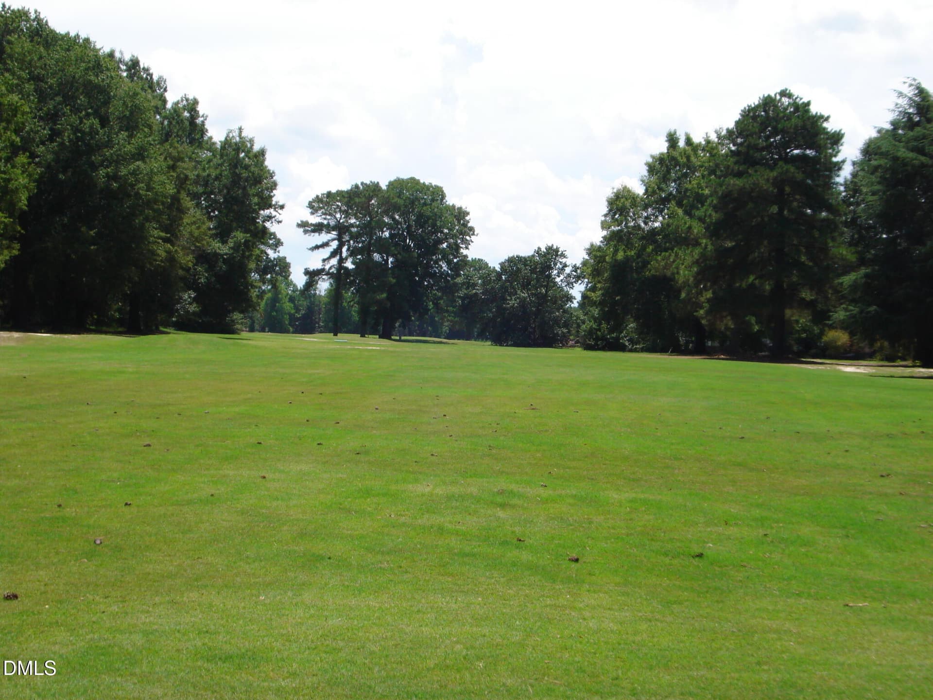 DSC09300 - 41 Sandy Ridge Road, Dunn, NC 28334