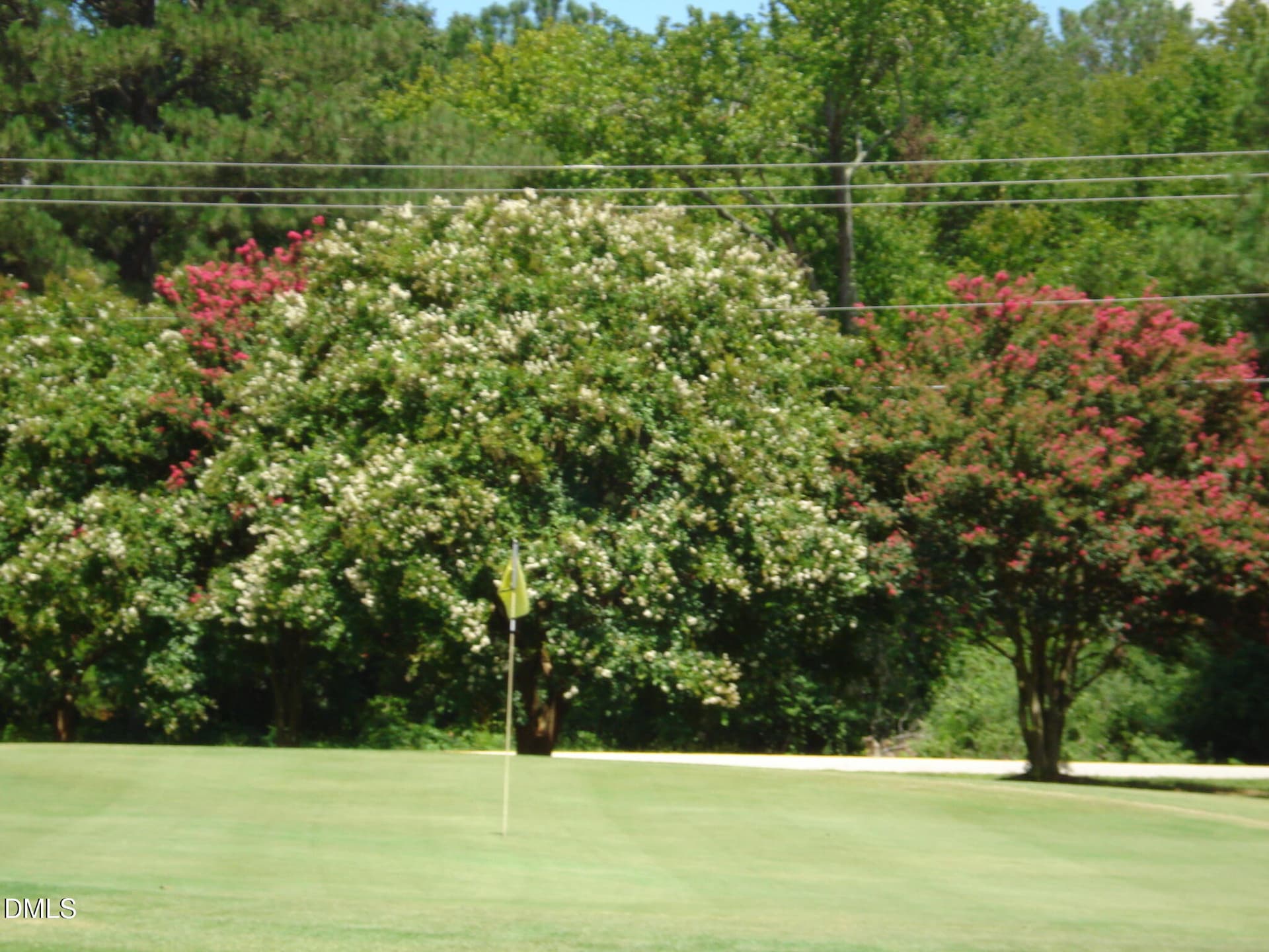 DSC09306 - 41 Sandy Ridge Road, Dunn, NC 28334