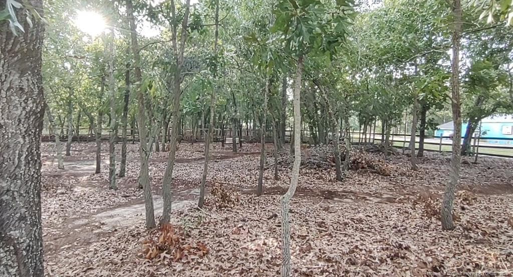 Photo 14 - 172 Addor Road, Pinebluff, NC 28373