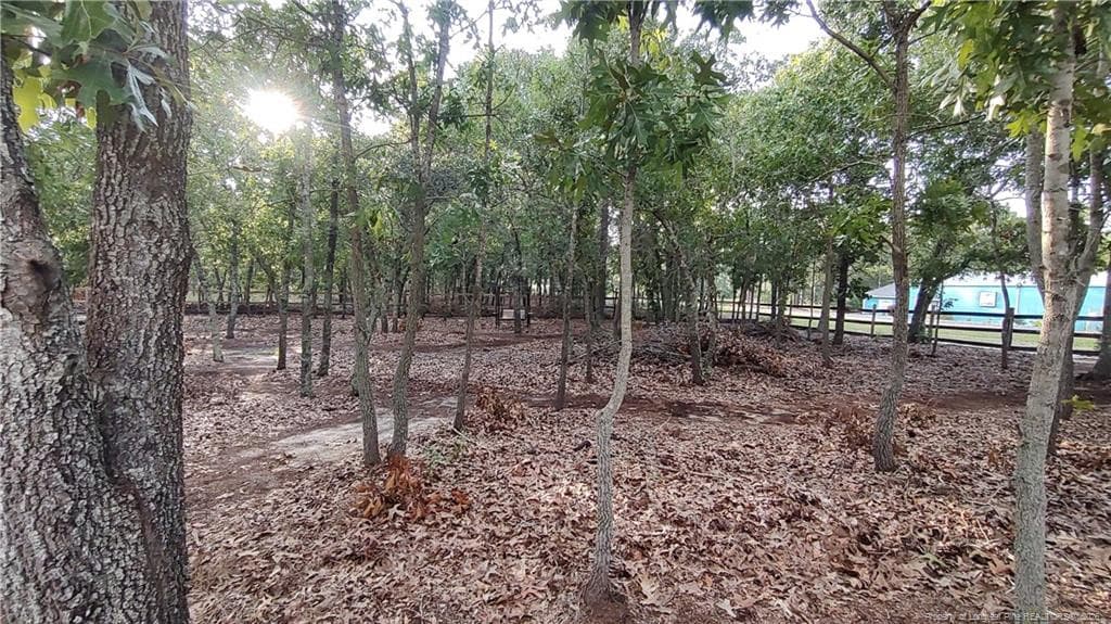Photo 16 - 172 Addor Road, Pinebluff, NC 28373